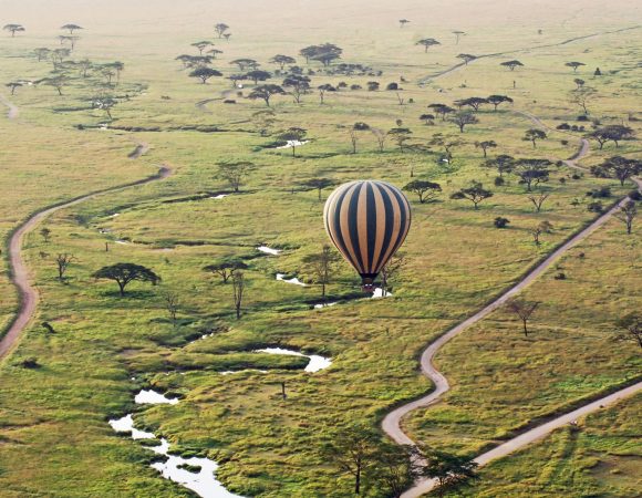 balloon-serengeti-1