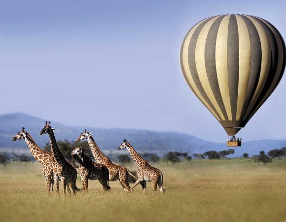 baloon-serengeti