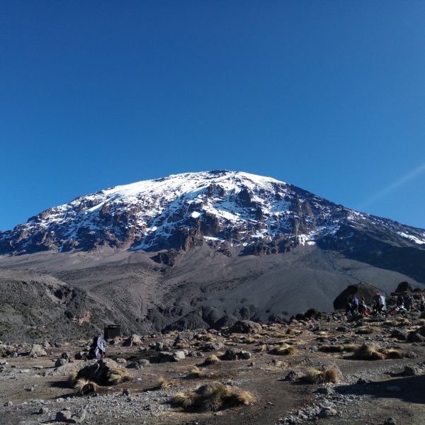 Machame Day Trip