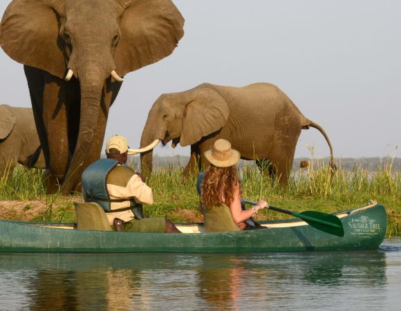 canoe