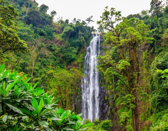 kuringe-waterfall-2