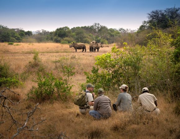 south-africa-phinda-private-game-reserve-game-walk-_14_-collections_lr-scaled
