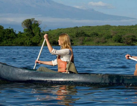 10-days-simba-safari-to-tanzania-banner