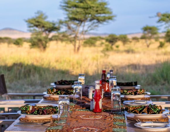 Bush-Lunch-001-min