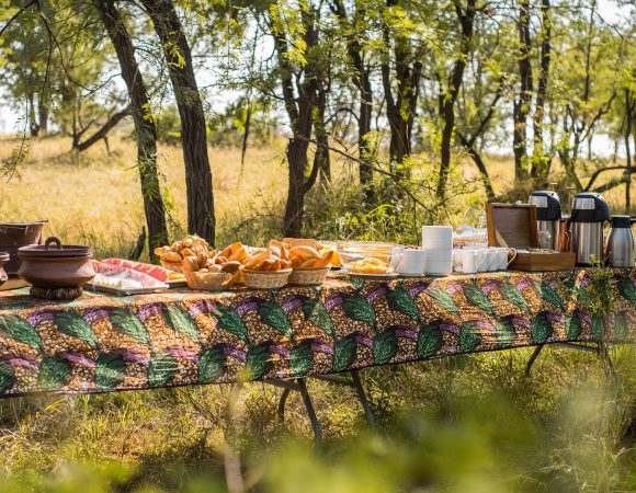 Bush breakfast-min