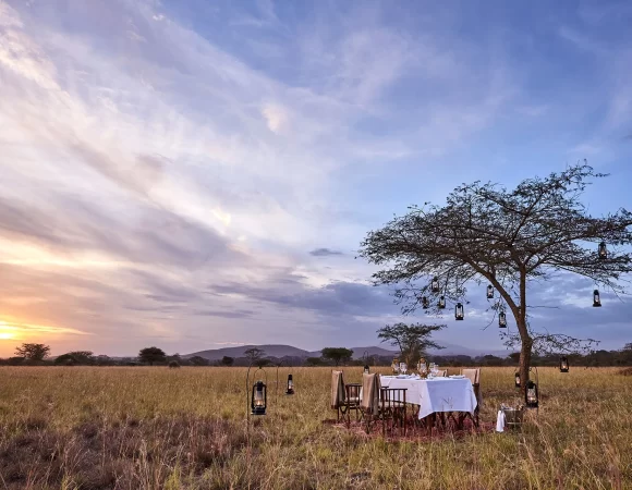 Bush-dinner-in-serengeti