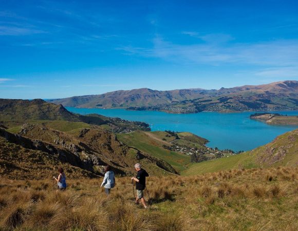 banks-peninsula-hikes