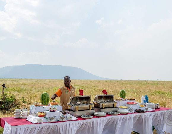 bush-lunch-at-serengeti-serena